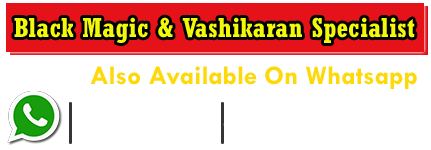 Astrologer Rudra Upasak